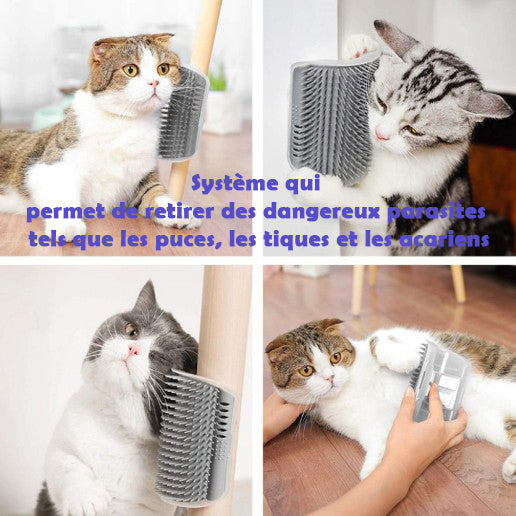 Brosse d’angle de massage pour chat - Livraison offerte
